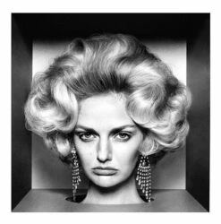 Absolut Vodka Exposure #2 1l -Double Wine Verkaufe absolut vodka exposure 2 1l 56945 bw4246