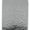 Belvedere Vodka 0,375l -Double Wine Verkaufe belvedere vodka 0 375l 54711 bw2716