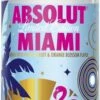Absolut Vodka Miami 0,7ll -Double Wine Verkaufe https dev bottleworld de media image 53 9e 7e absolu vodka miami 0 75l 3643 4099 jpg