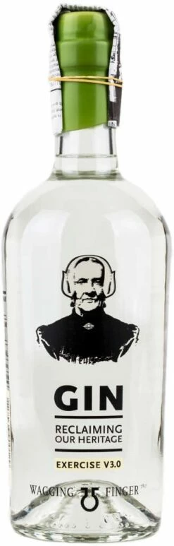 Wagging Finger Gin Experience 3.0 0,7l